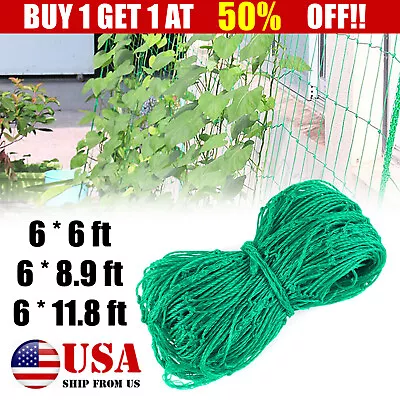Heavy Duty Trellis Netting Plant Support Net Garden Vine Vegetable Climbing Grow • $8.95