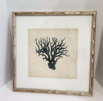 Vintage Coral Picture Bamboo Framed On Linen 16.25  Square  • $119.99