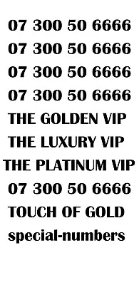 Gold Luxury Vip Platinum Rare 3006666 Business Mobile Number - Platinum Vip • £59.99