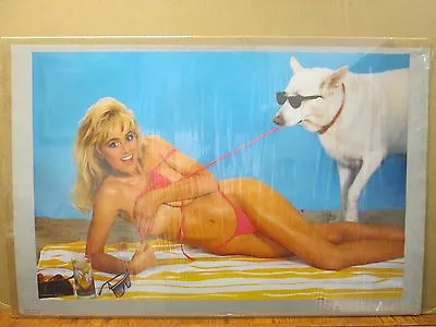 Vintage 1987 Man's Best Friend Sam Maxwell Original Hot Girl Poster 12010 • $39.97