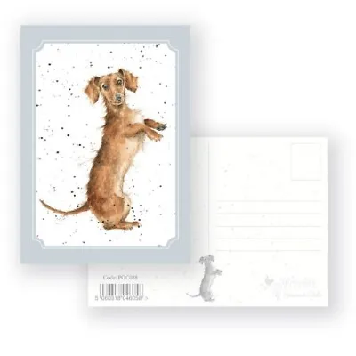 Wrendale Designs - 'Sausage' Dachshund Postcard • £1