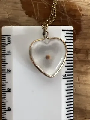 Vintage Lucite Heart Mustard Seed Pendant Jewelry On Gold Tone Chain • $49.99