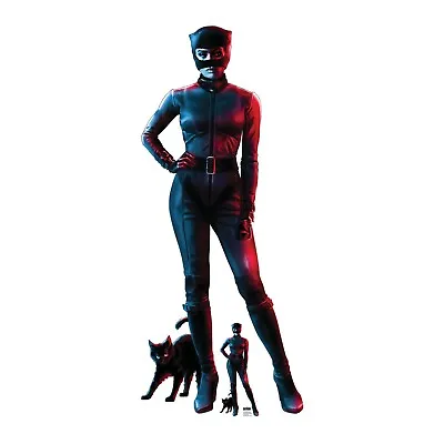 Catwoman Lifesize Cardboard Cutout From The Batman Red Blue Style Zoe Kravitz • £39.99