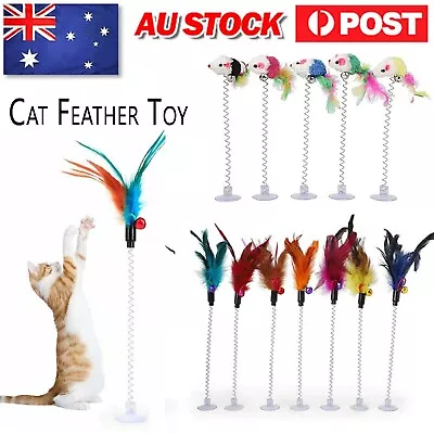 Cat Pet Feather Toy Interactive Spring Mouse Fun Play Attract Toys Kitty Fishing • $12.49