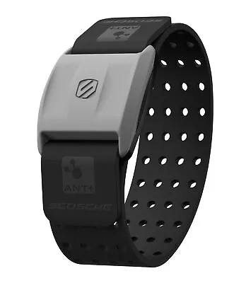 $19.99 • Buy Scosche RHYTHM+ Heart Rate Monitor Armband - Black