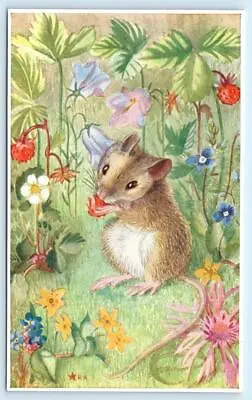 HEDA ARMOUR Artist Signed   MOUSE EATING STRAWBERRY   Medici Society Postcard • $6.98