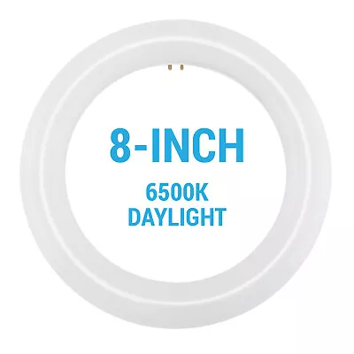 8-Inch LED CFL Replacement Circline Circular 11W T9 4-Pin G10q 6500K Daylight • $14.95