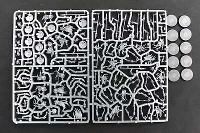 Games Workshop AOS Soulblight Gravelords Deathrattle Skeletons X10 On Sprues • £19.99