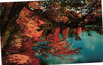 Vintage Postcard - Greetings From Barnet Vermont Lake View Through Fall Leaves • $7.99