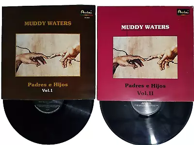 Muddy Waters Padres E Hijos Vol. 1 & 2 Rare 1989 Mexican Pressing  2 LP Vinyl EX • $58