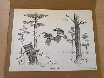 Vintage Bob Gillespie Black & White Print Quail Rise 1977 Ga Sportsman Magazine • $30