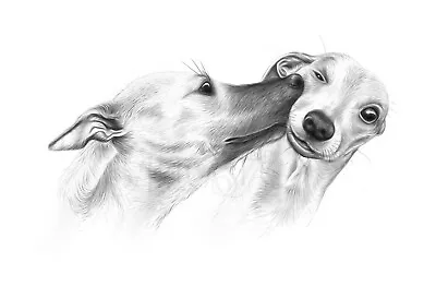 £3.50 • Buy Whippet Lurcher Greeting Card Whippets Hound Dog Kiss Cute Mothers Day Mum Love