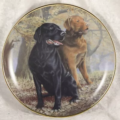 £5 • Buy Franklin Mint Lifelong Friends Nigel Hemming Plate Labrador Retriever Dog 