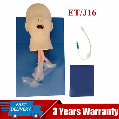 $195 • Buy Intubation Manikin Study Teaching Training Model Airway Management Trainer USA 