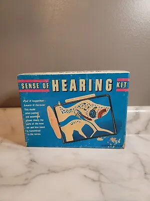 Sense Of Hearing Vintage Educational Human Anatomy Kit Model Of The Inner Ear • $11.82