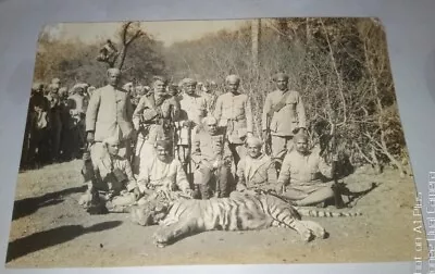 Maharaja Of Gwalior With Killed Tiger & Others RARE Photograph Size 8.2/5.6  Inc • $75