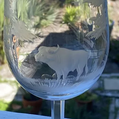 Moser Rowland Ward African Big Game Wine Glass - Buffalo 6 6/8 Crystal W/ Mark • $99.99