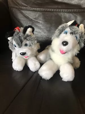 £5 • Buy Dog Teddies