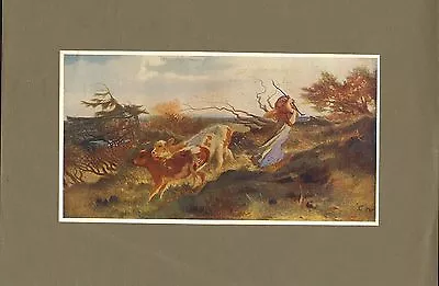 Original 1902 Colour Print Titled   Wind On The Wold   By G.h.mason • $24.88