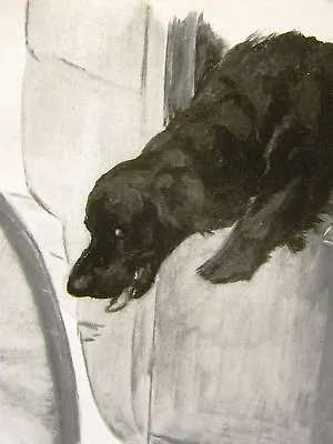 Maud Earl 1915 COCKER SPANIEL In CARRIAGE Dog Art Matted • $20