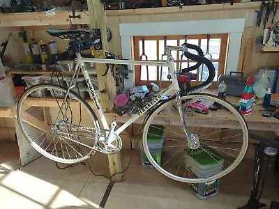 Vintage Pinarello  Bassano  Track Bike - 58.5cm W/ Sun Tour Superbe Pro Gruppo • $1200