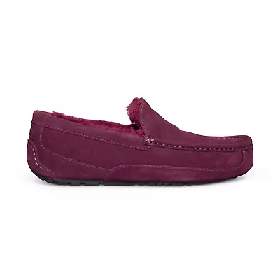 Ugg Ascot Wild Grape Suede Sheepskin Moccasin Shoes Men's Slippers Size Us 11 • $94.99