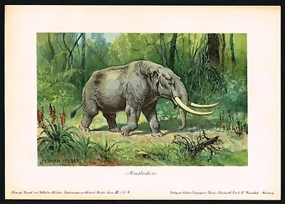 Mastodon Elephant Extinct Animal Antique Print - Heinrich Harder 1900 • $39.99