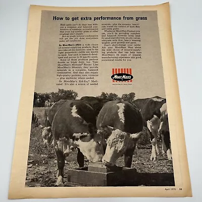 1970 MoorMans Cattle Products Vtg Print Ad 10 X13  Extra Performance From Grass • $8.25