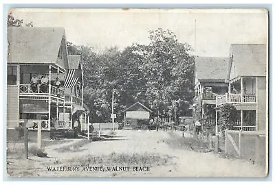 1910 Waterbury Avenue Walnut Beach Milford Connecticut CT Unposted Tree Postcard • $29.95