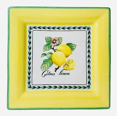 Villeroy & Boch FRENCH GARDEN SQUARE SHAPE Citrus Limon Fruit Dinner Plate NEW • $72.19