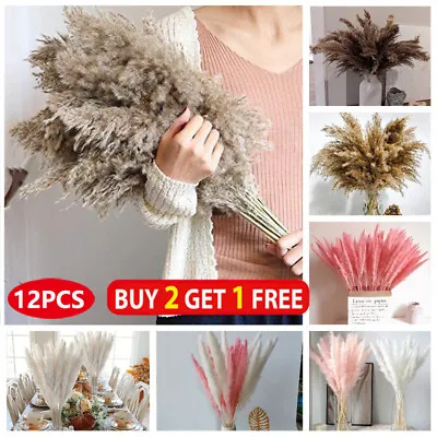 12pc Natural Dried Pampas Grass Reed Flower Bunch For Wedding Home Bouquet Decor • £5.99