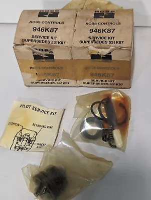 Ross Controls 946K87 Pacer Pilot Service Kit For Ross Valve Low Temp • $69.99