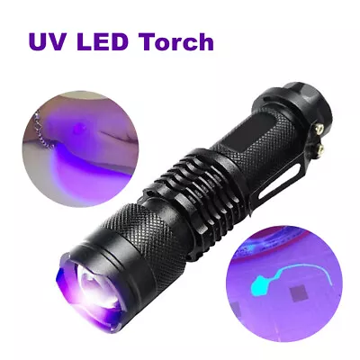 UV Ultra Violet LED Flashlight Blacklight Light 395 NM Inspection Lamp Torch • $12.98