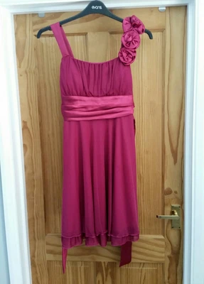 £2.75 • Buy  You Look Hot  Magenta Prom Dress (Size Large)