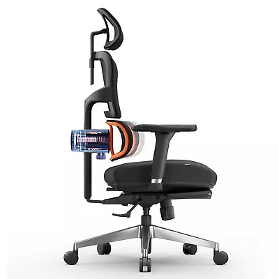 NEWTRAL Ergonomic Game/office  Chair • $49.99