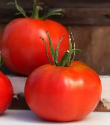 Marglobe Tomato - 50 Seeds - Heirloom • $2.99