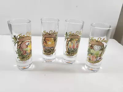 Set Of 4 Margaritaville Shooter Shot Glasses It's Five O'Clock Somewhere • $26.58