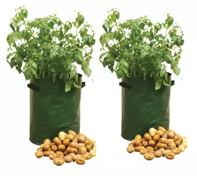 2 X Potato Planters Grow Bags Vegetable Planter Container Home Garden UK • £5.45