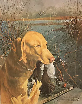 R.J. McDonald Yellow Labrador S/N Art Print-16.5 X 21 • $125