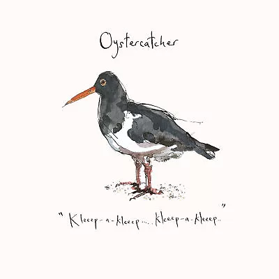 Madeleine Floyd - The Dawn Chorus - Oystercatcher • £5.24