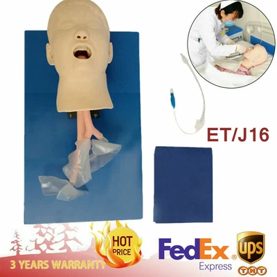 $195 • Buy Endotracheal Intubation Manikin Airway Management Trainer Teaching Study Model