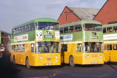 Bus Photo - Glasgow Corporation DGE310C SGD608 Leyland Atlantean Depot Two Shot • £1.19