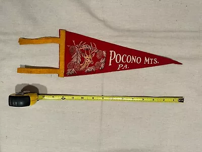 Vintage Mt. Pocono Souvenir Felt Pennant 11.5” • $15