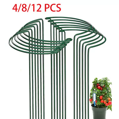 12X Round Metal Plant Supports Stake For Peonies Hydrangea Strong Stakes Garden • £9.34