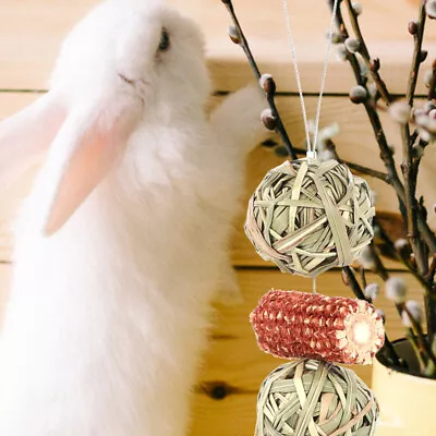  Hamster Biting Toys Straw Ball Hanging String Bunny Chew For Rabbits Bunnies • £8.38