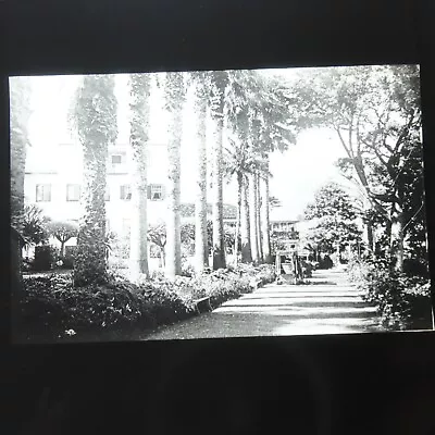 £14.99 • Buy Antique Glass Magic Lantern Slide Madeira Portugal Street Scene History #52