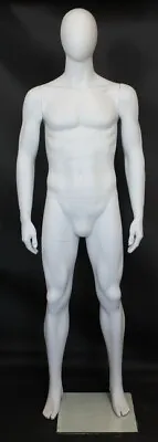 New! 6 Ft 2 In Abstract Head Male Mannequin Matte White Torso Body Form SFM68EWT • $279.99