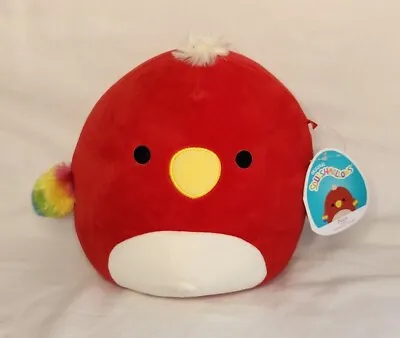 Squishmallows 8  PACO Parrot Red Soft Plush Stuffed Animal With Tag 2019 • $14