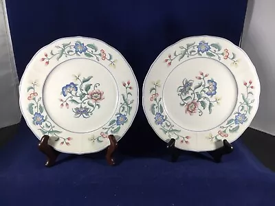 Set-2 Vintage VILLEROY & BOCH Delia Pattern 8.5” SALAD PLATES Made In W Germany • $18.95