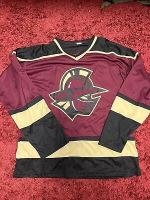 Gwinnett Gladiators Atlanta ECHL Minor League Hockey Promo Jersey Adult XL EUC • $2.25